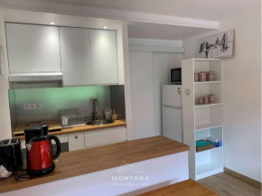 Confortable T2 avec coin nuit pour 4 au Grand-Bornand - FR-1-458-203